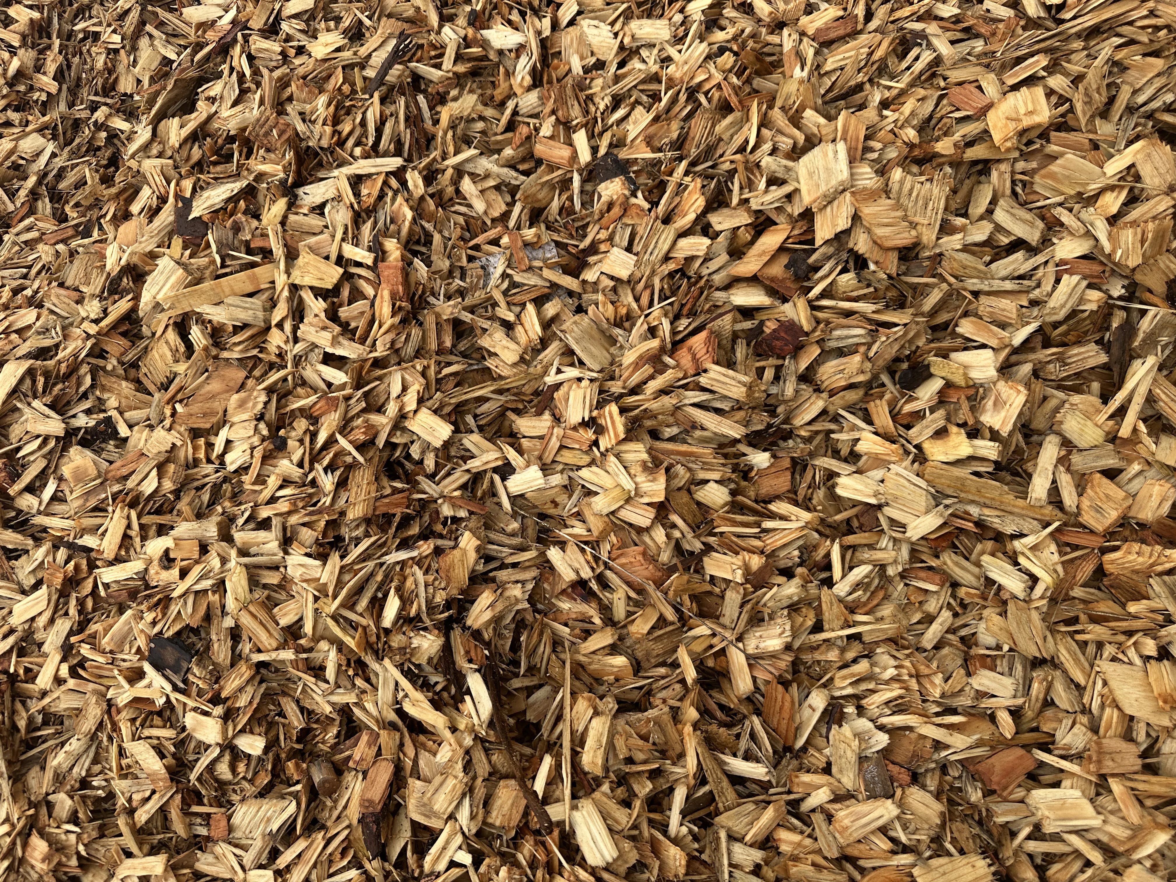Eight shirts arranged on table in black, olive, grey, blue, white, red, mustard, and green.