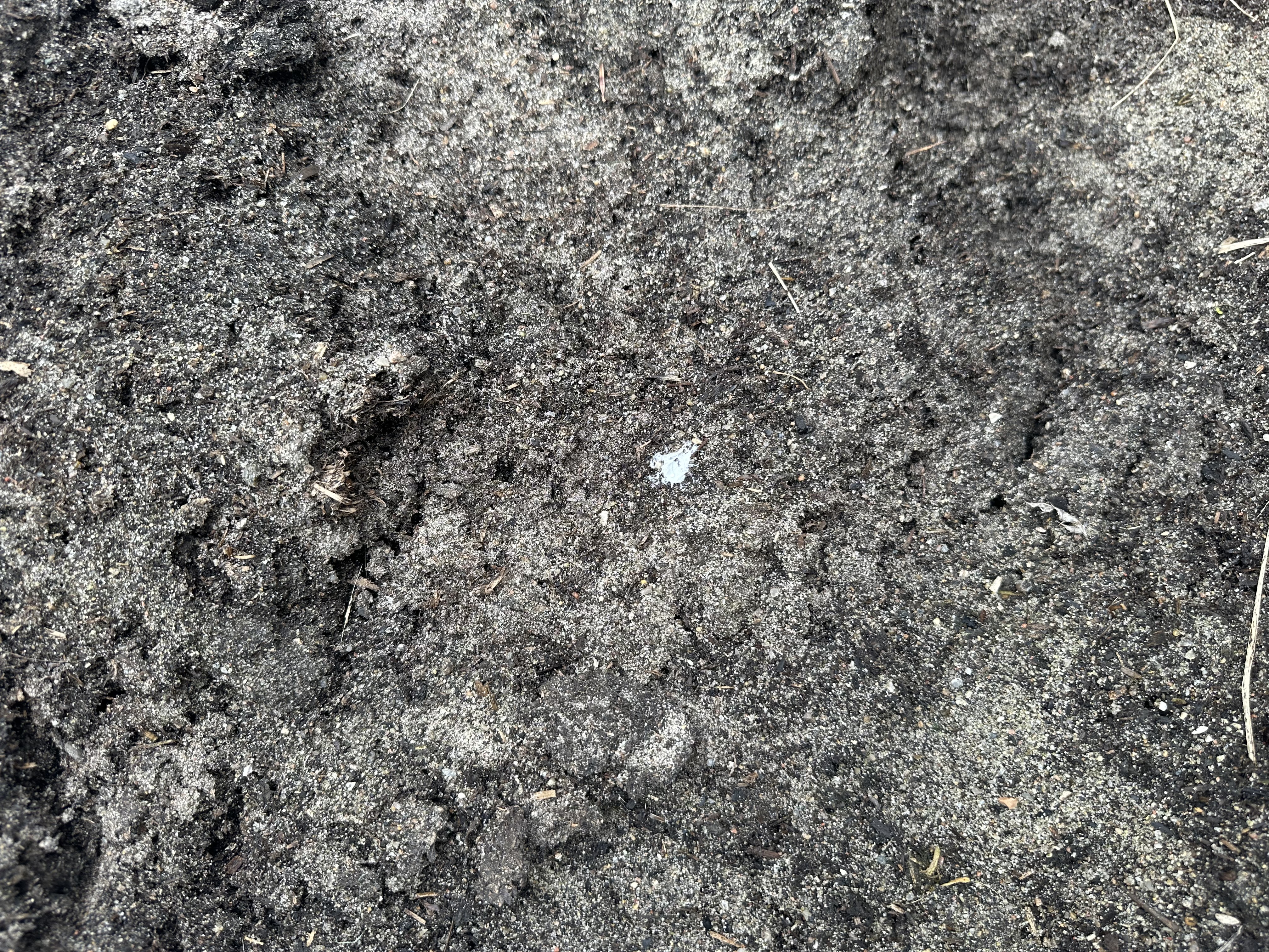 Eight shirts arranged on table in black, olive, grey, blue, white, red, mustard, and green.