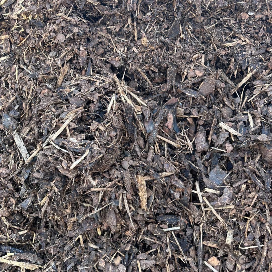 Eight shirts arranged on table in black, olive, grey, blue, white, red, mustard, and green.