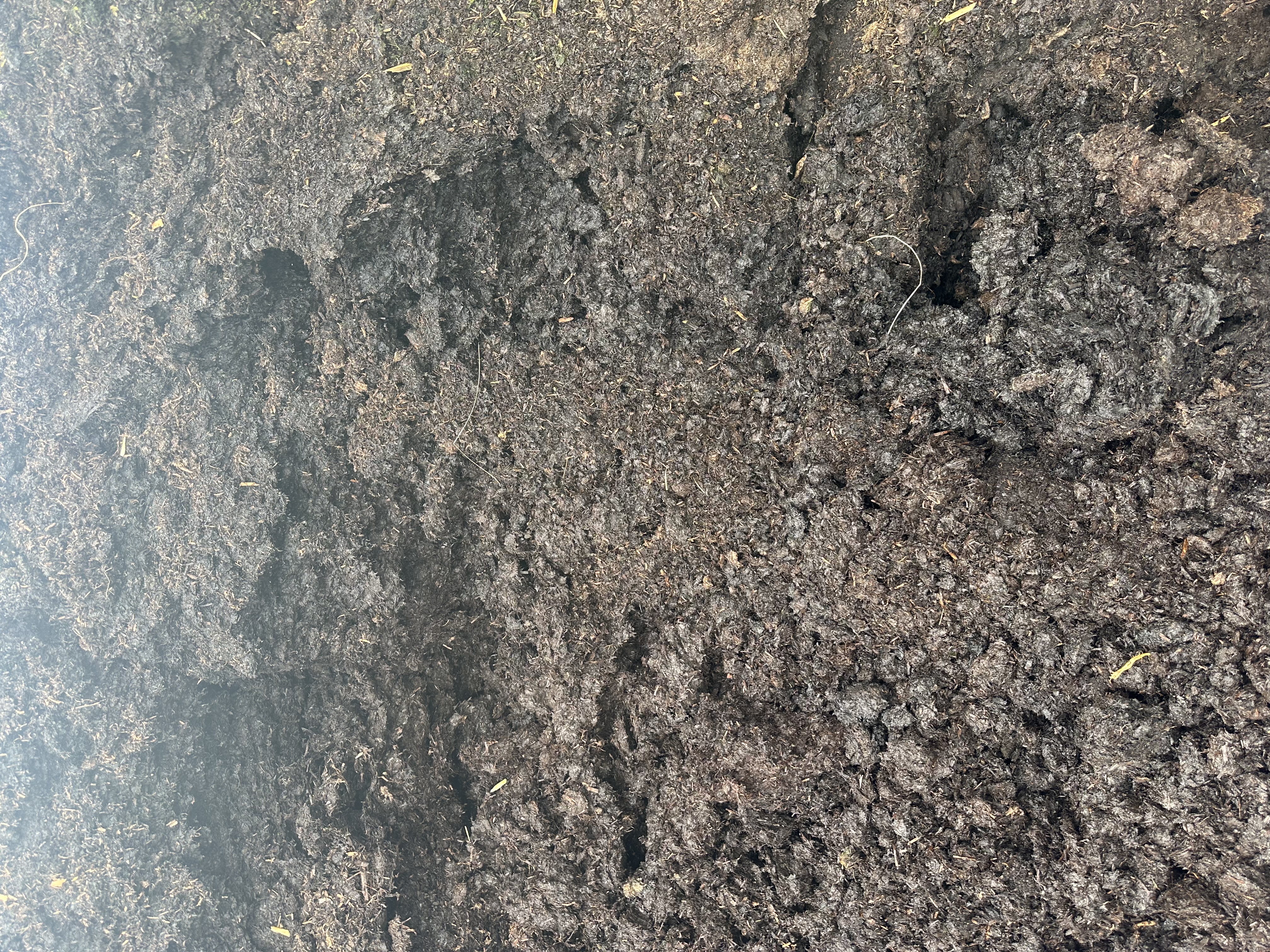 Eight shirts arranged on table in black, olive, grey, blue, white, red, mustard, and green.