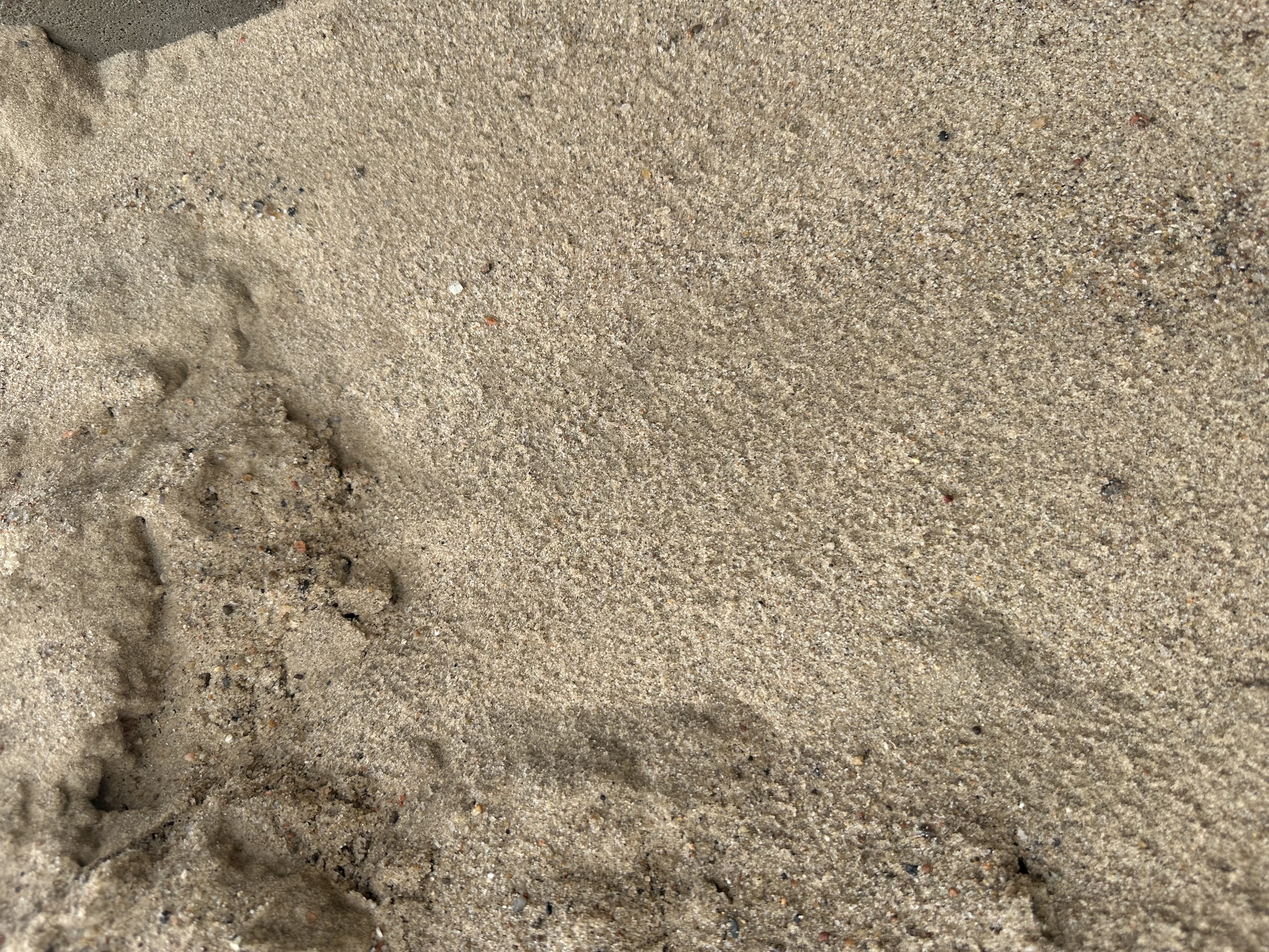 Eight shirts arranged on table in black, olive, grey, blue, white, red, mustard, and green.