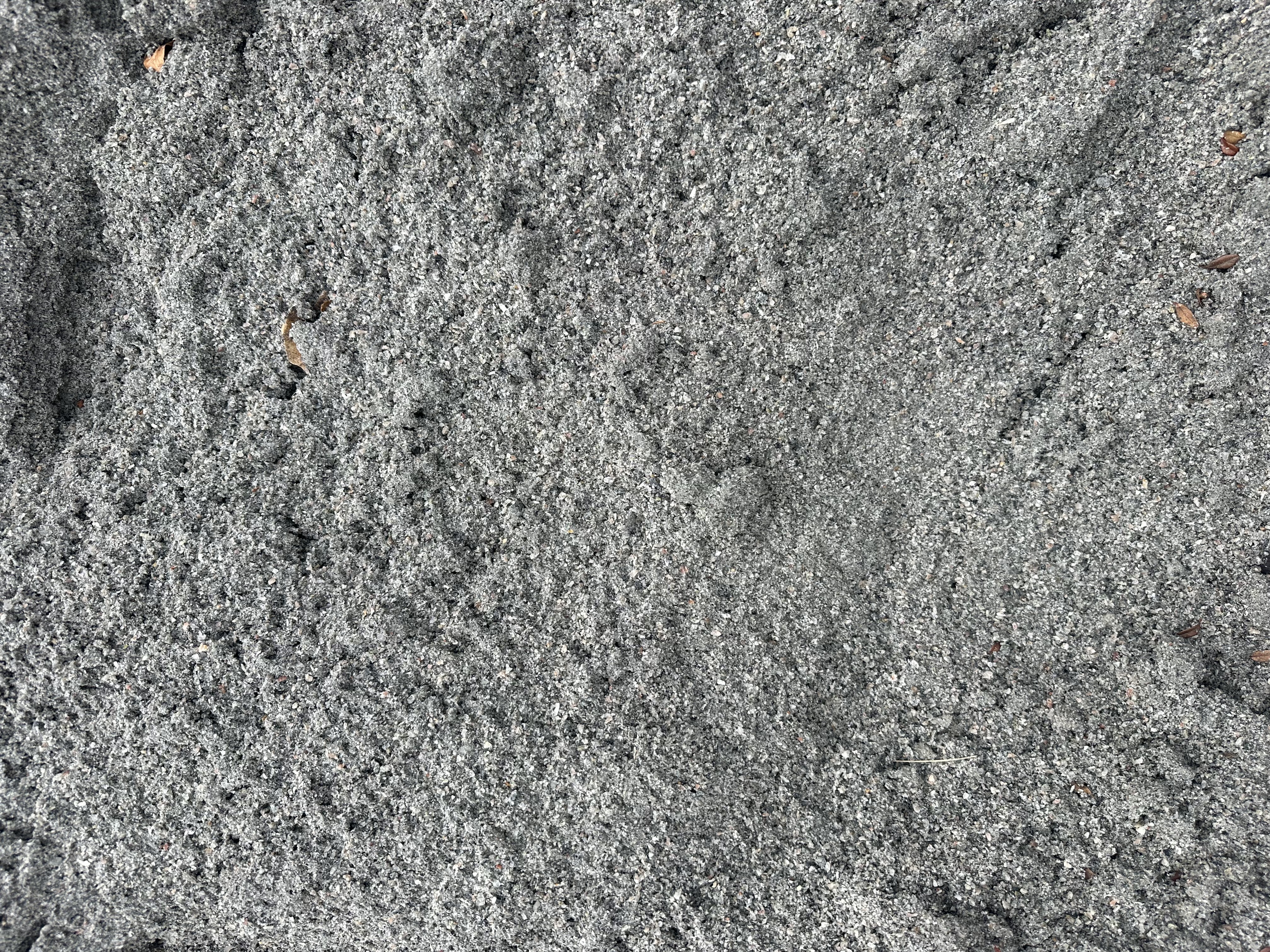 Eight shirts arranged on table in black, olive, grey, blue, white, red, mustard, and green.
