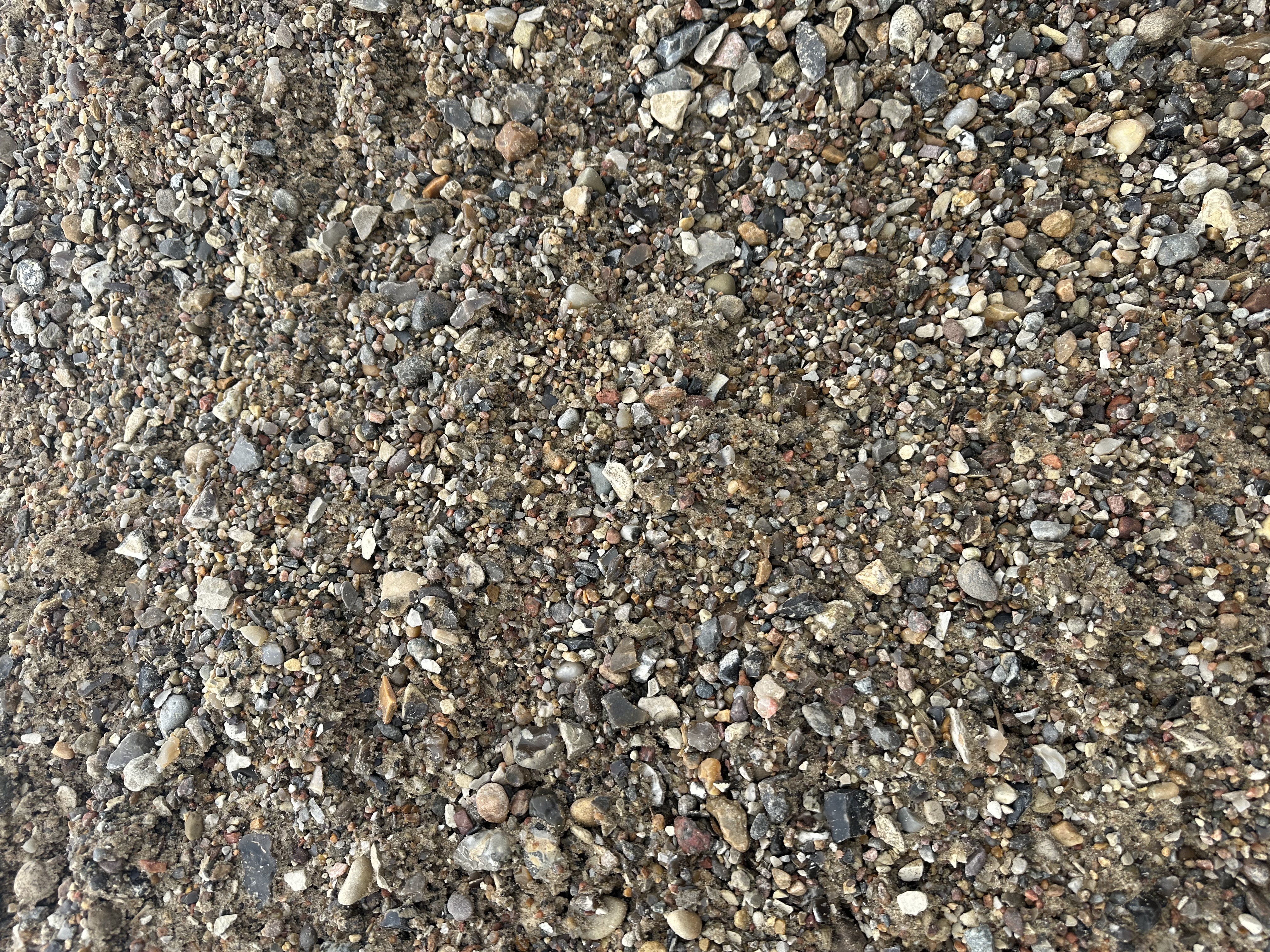 Eight shirts arranged on table in black, olive, grey, blue, white, red, mustard, and green.