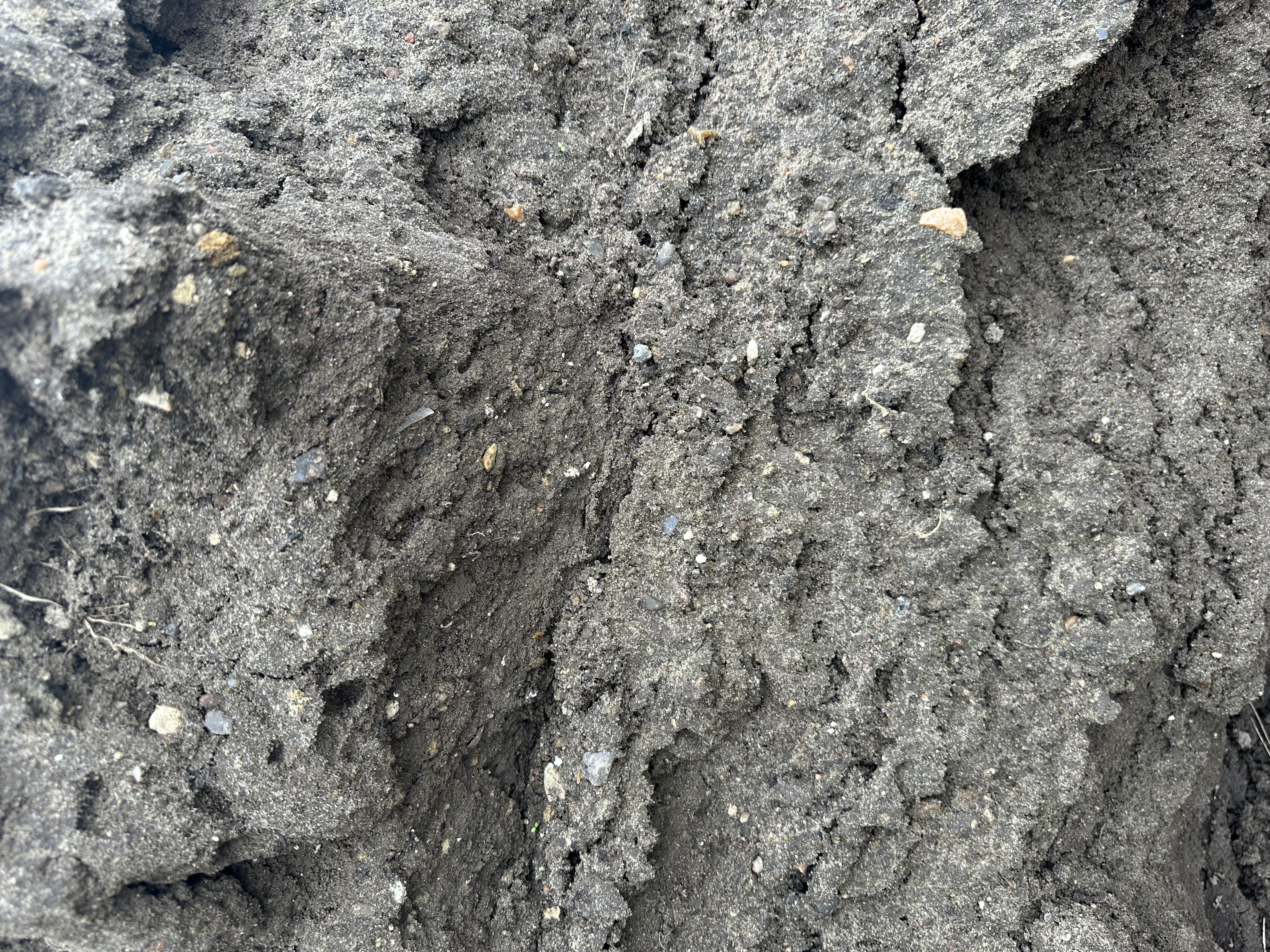 Eight shirts arranged on table in black, olive, grey, blue, white, red, mustard, and green.