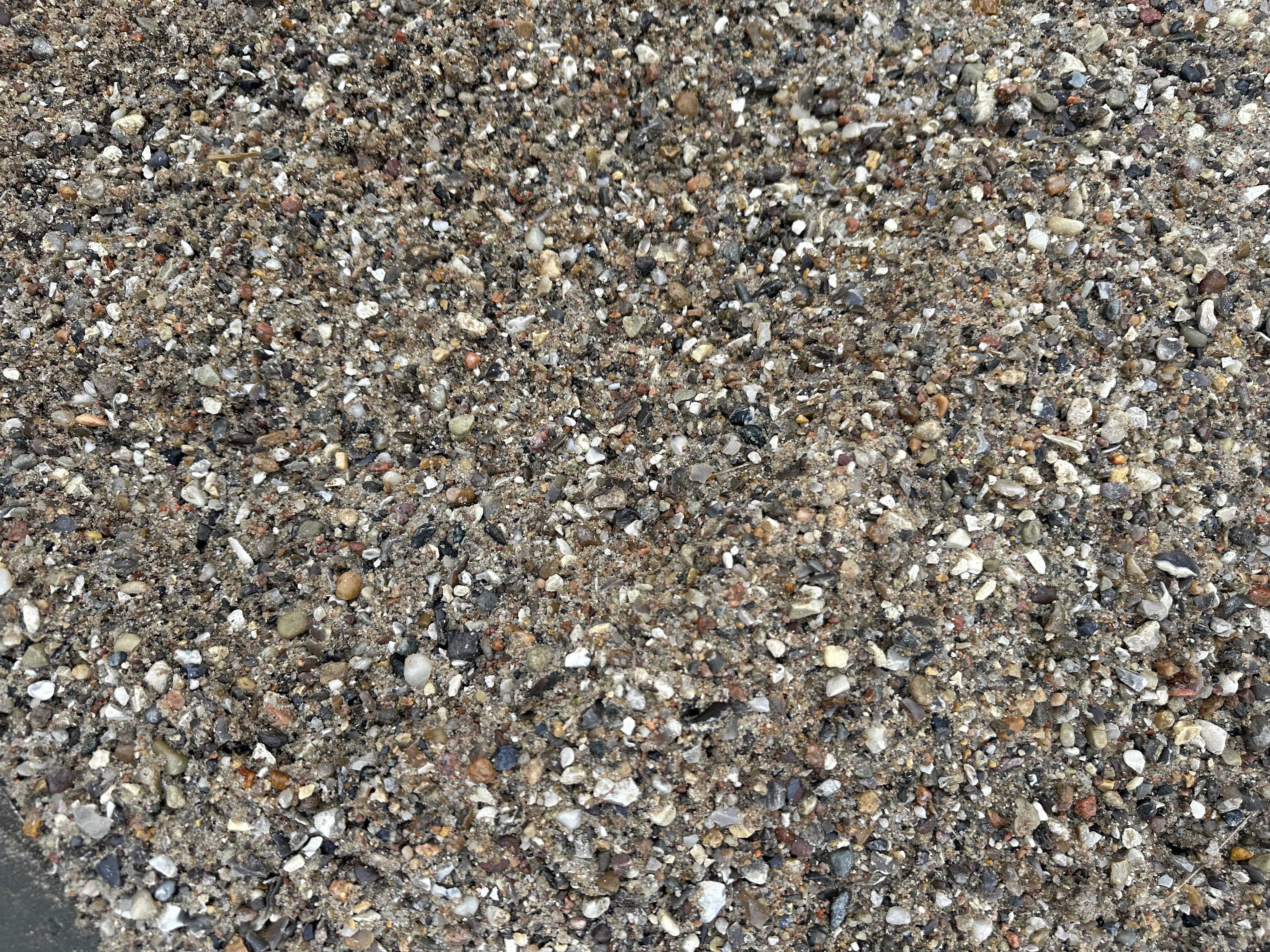 Eight shirts arranged on table in black, olive, grey, blue, white, red, mustard, and green.