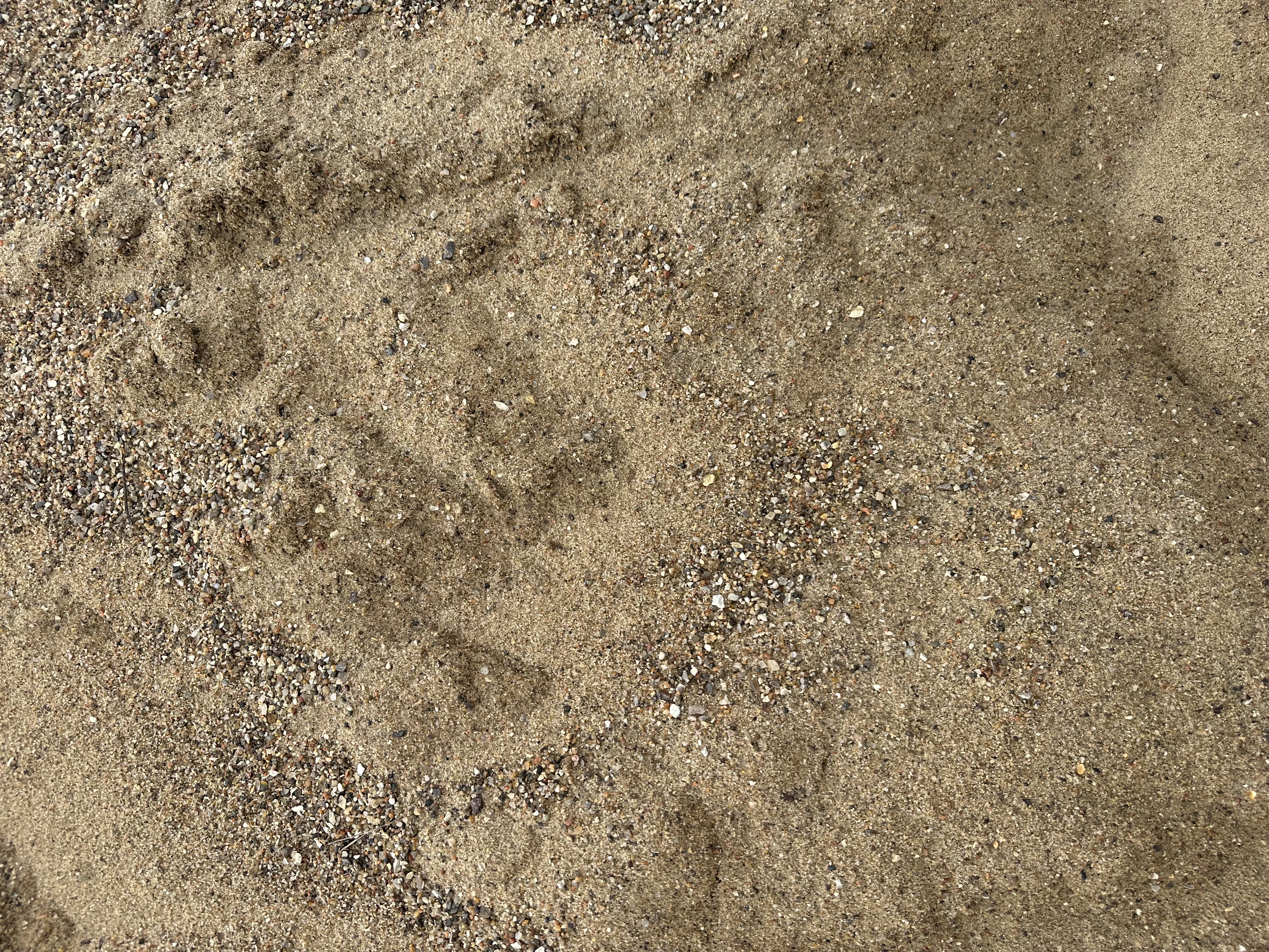 Eight shirts arranged on table in black, olive, grey, blue, white, red, mustard, and green.